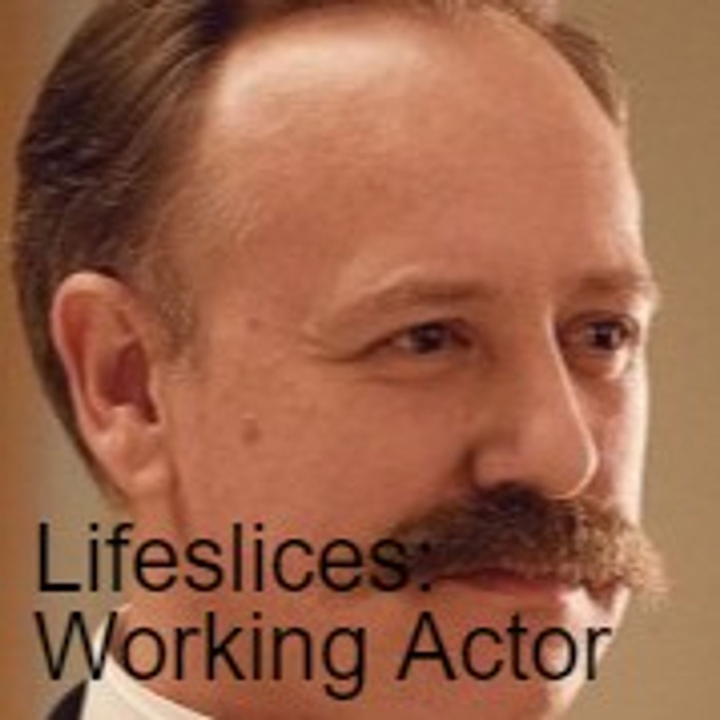 Lifeslices with Steve Fisher