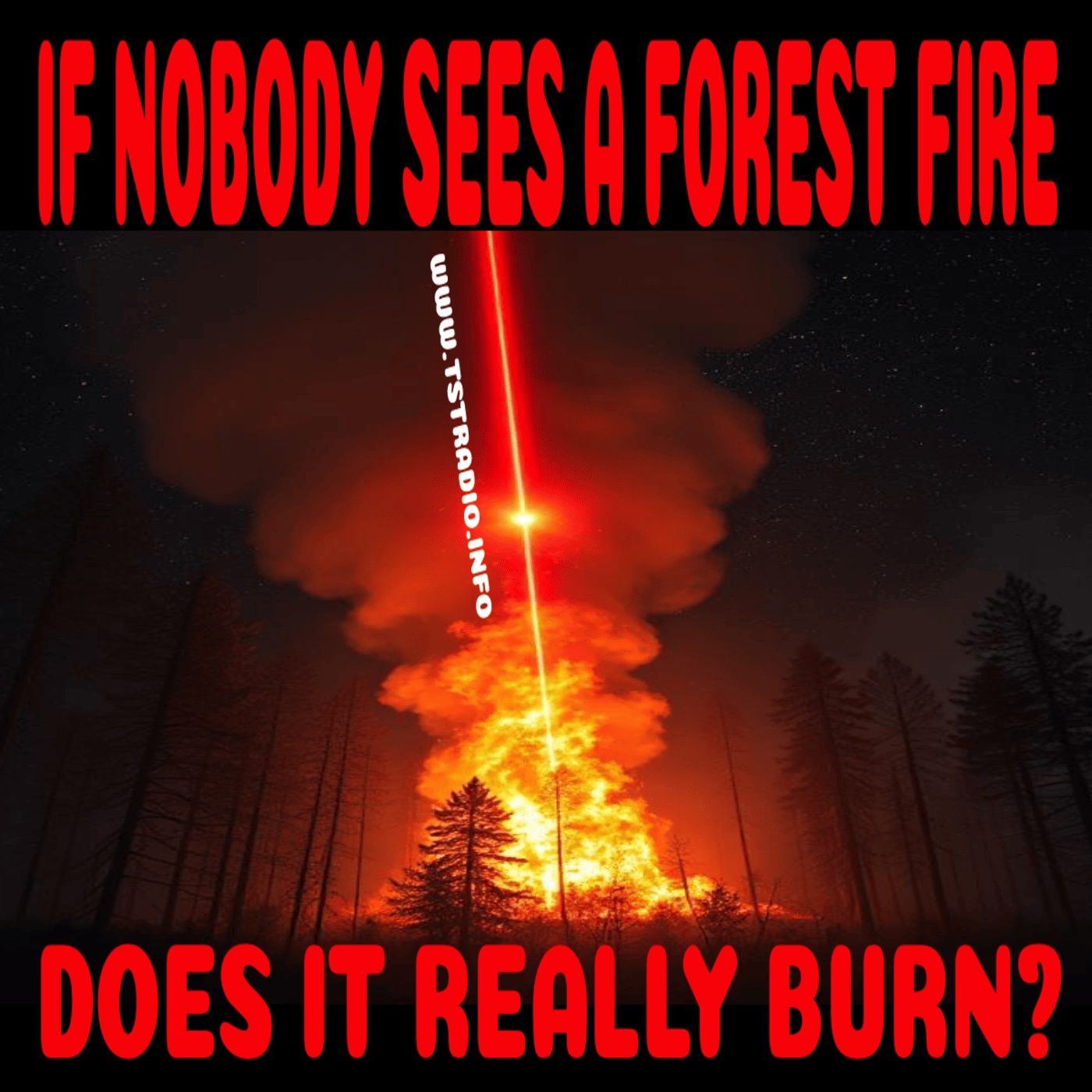 If Nobody Sees a Forest Fire Does it Really Burn? (1/21/25)