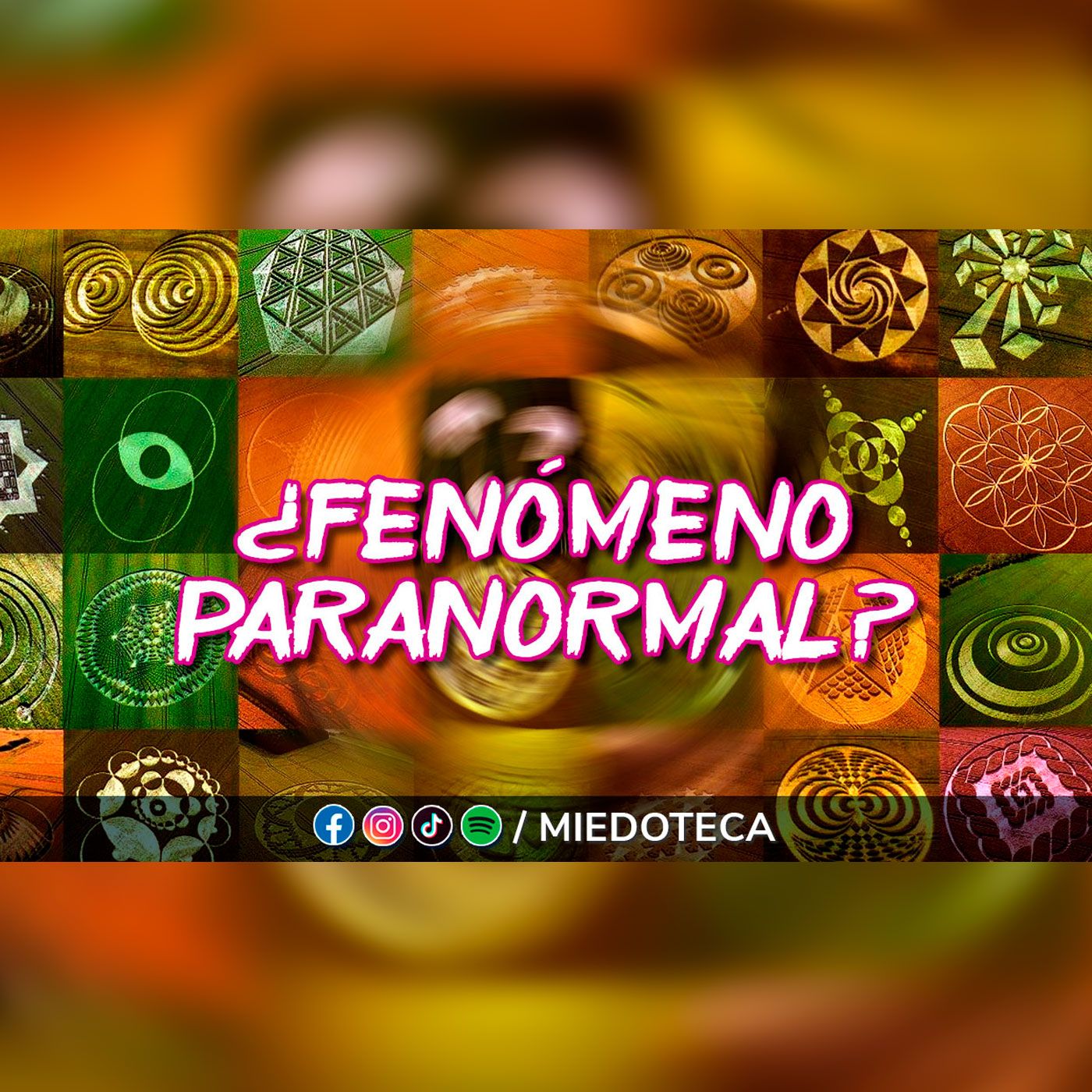 La Miedoteca