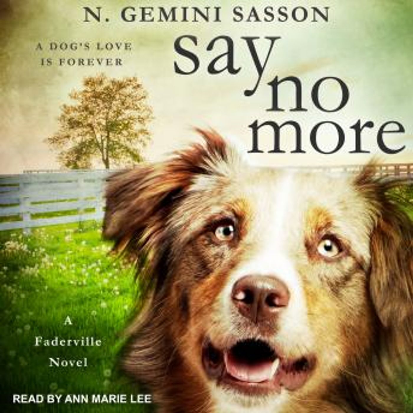 Download Incredible Full Audiobooks in Fiction, Drama