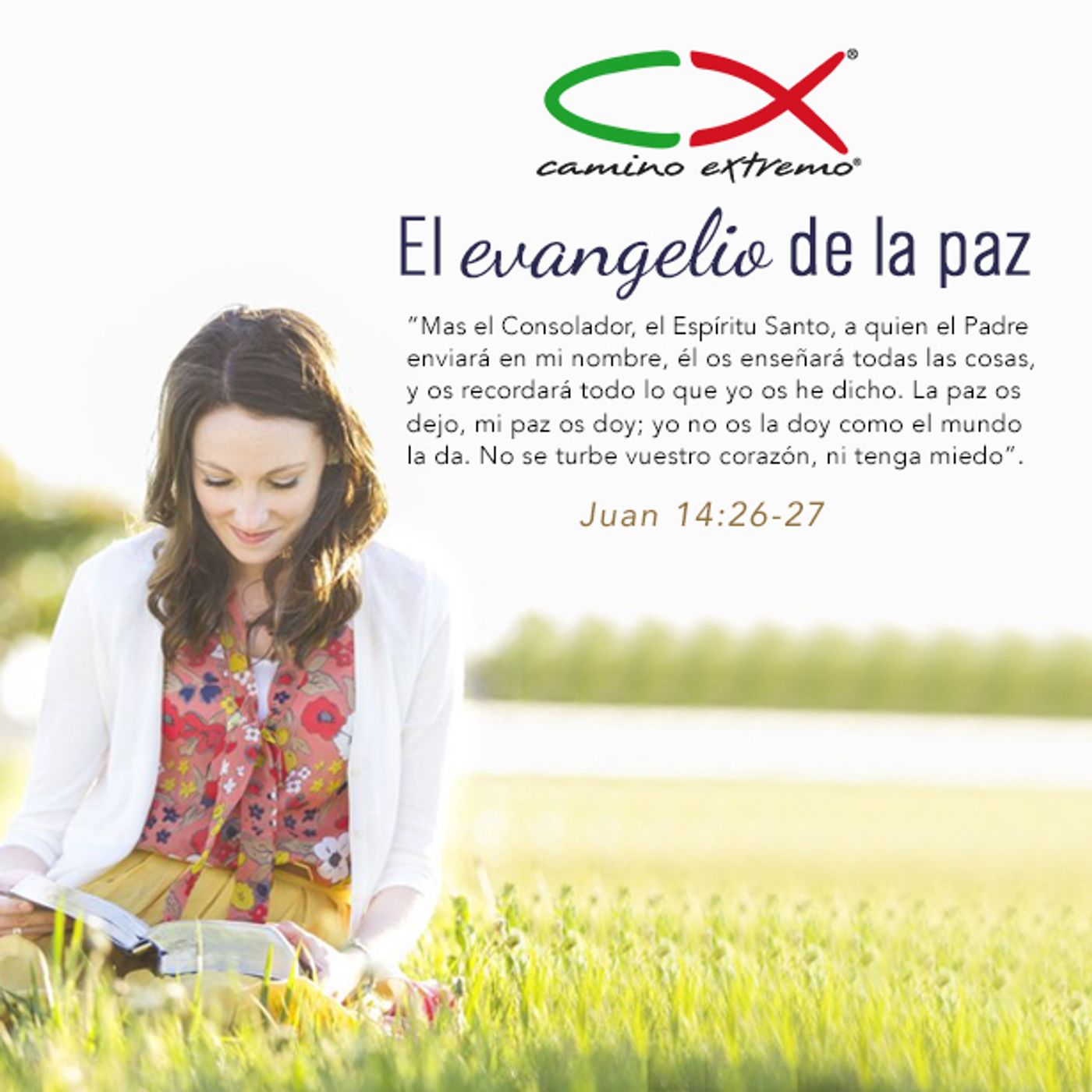 Oración 6 de enero (El evangelio de la paz) episode artwork