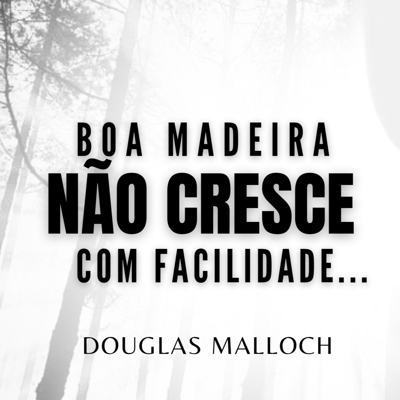 Adalberto Nascimento | Poesia e Recitação
