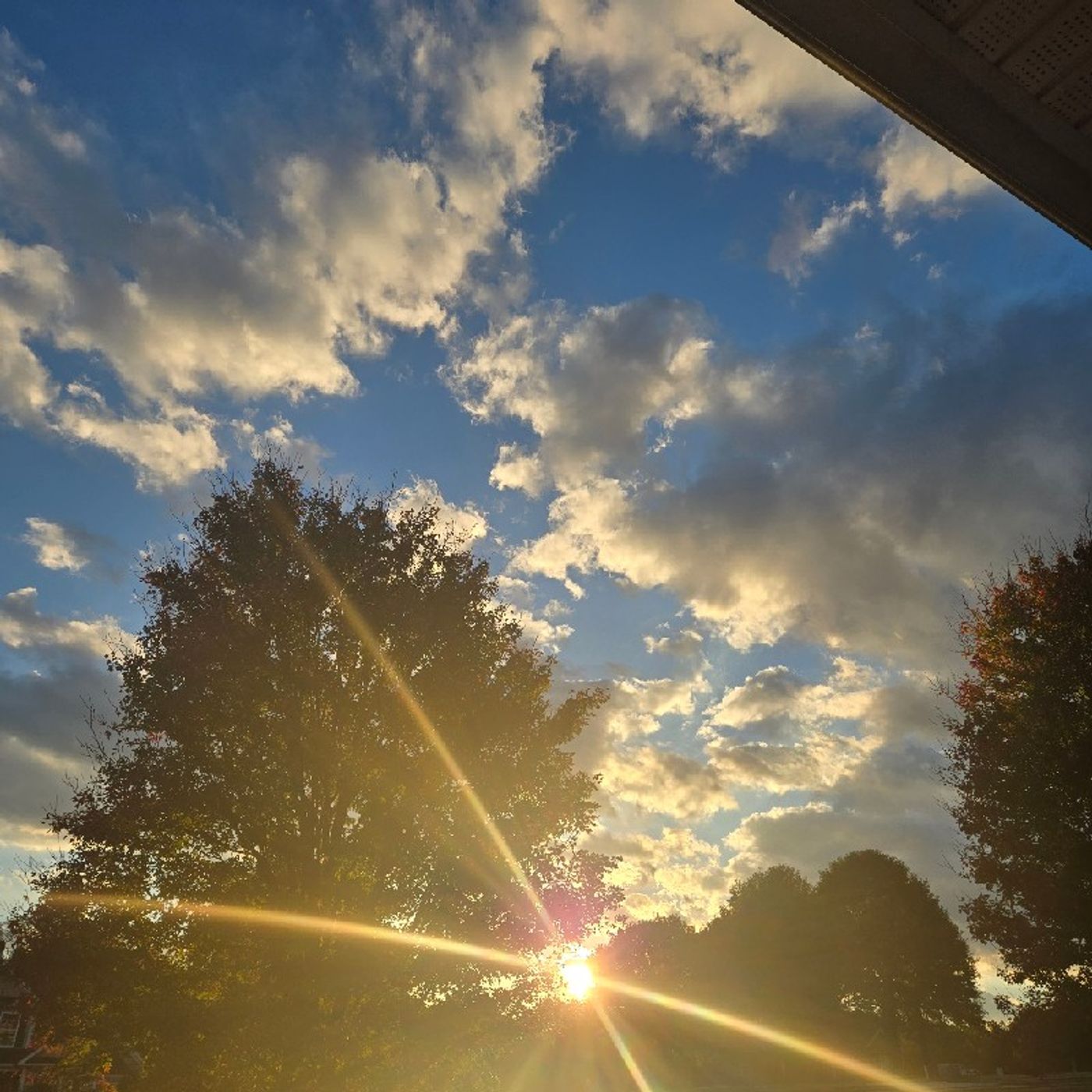 Episode 31 - Welp.. Episode 31 - Welp..