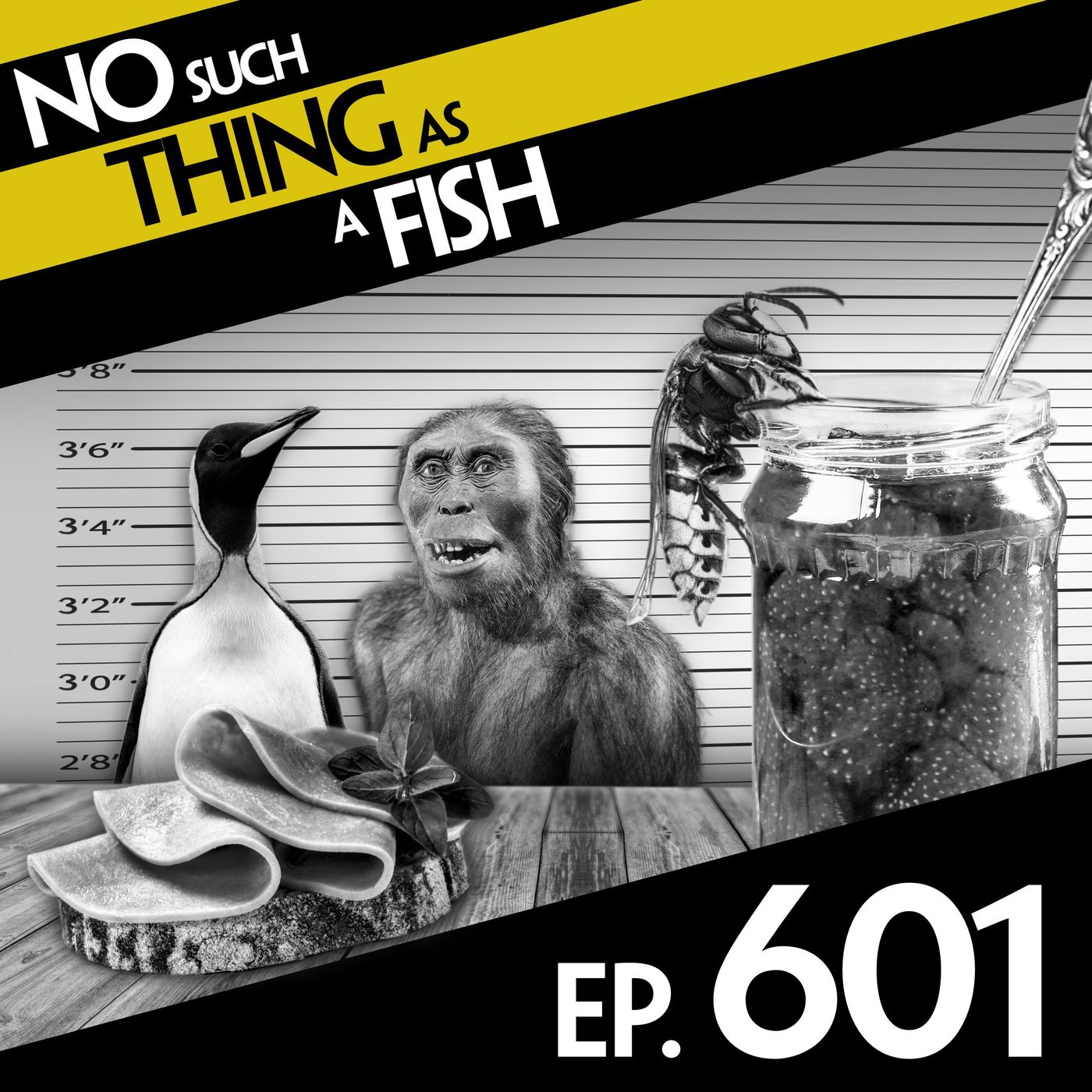 No Such Thing As A Fish