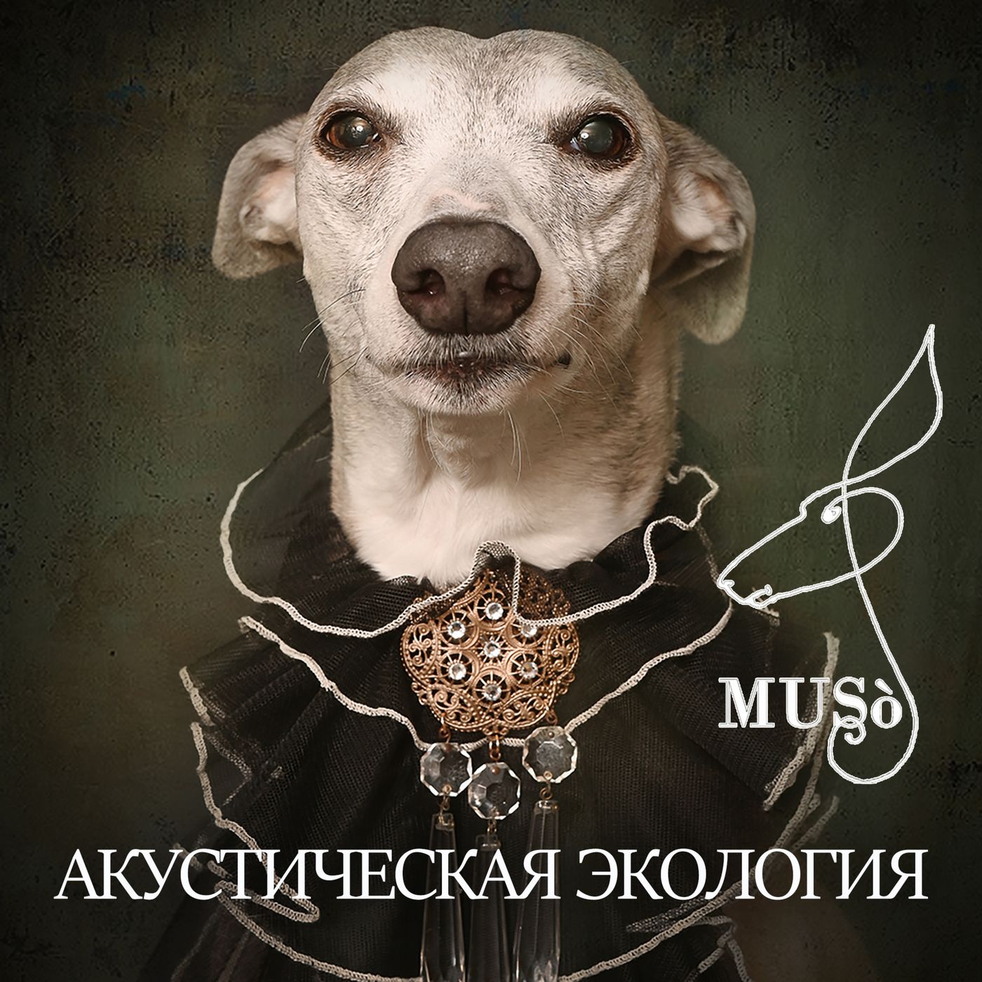 Акустическая экология episode artwork