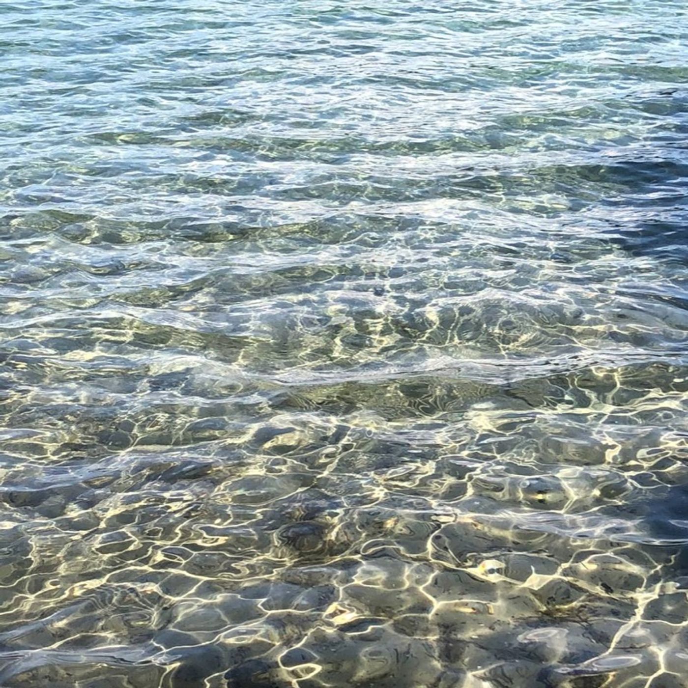 Passo dopo Passo