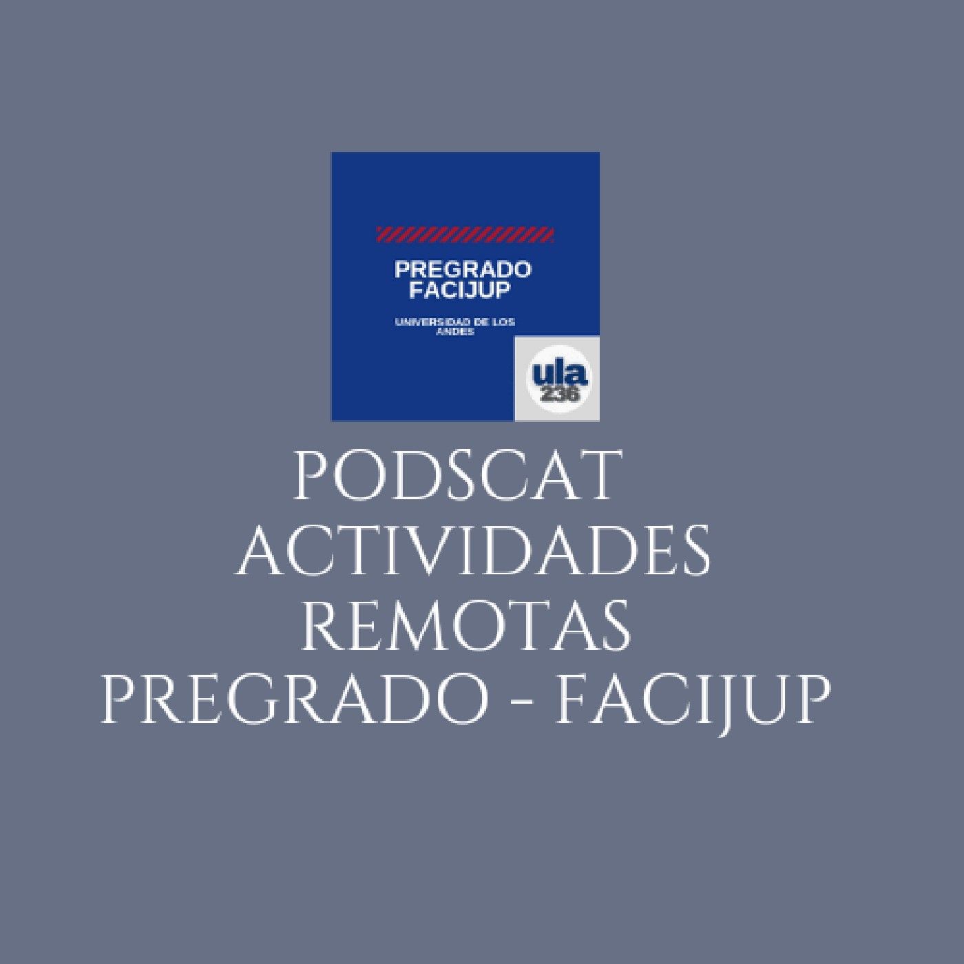 ACTIVIDADES REMOTAS PREGRADO - FACIJUP