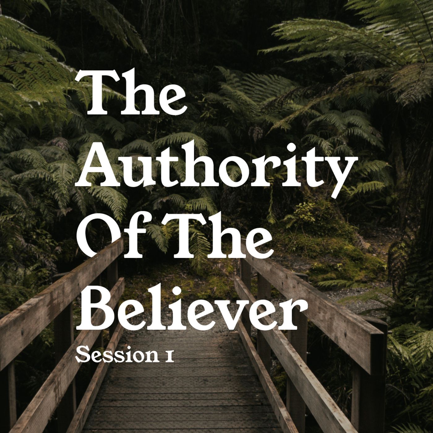 The Authority of the Believer- Session 1 Learning to Exercise All of Our Authority episode artwork