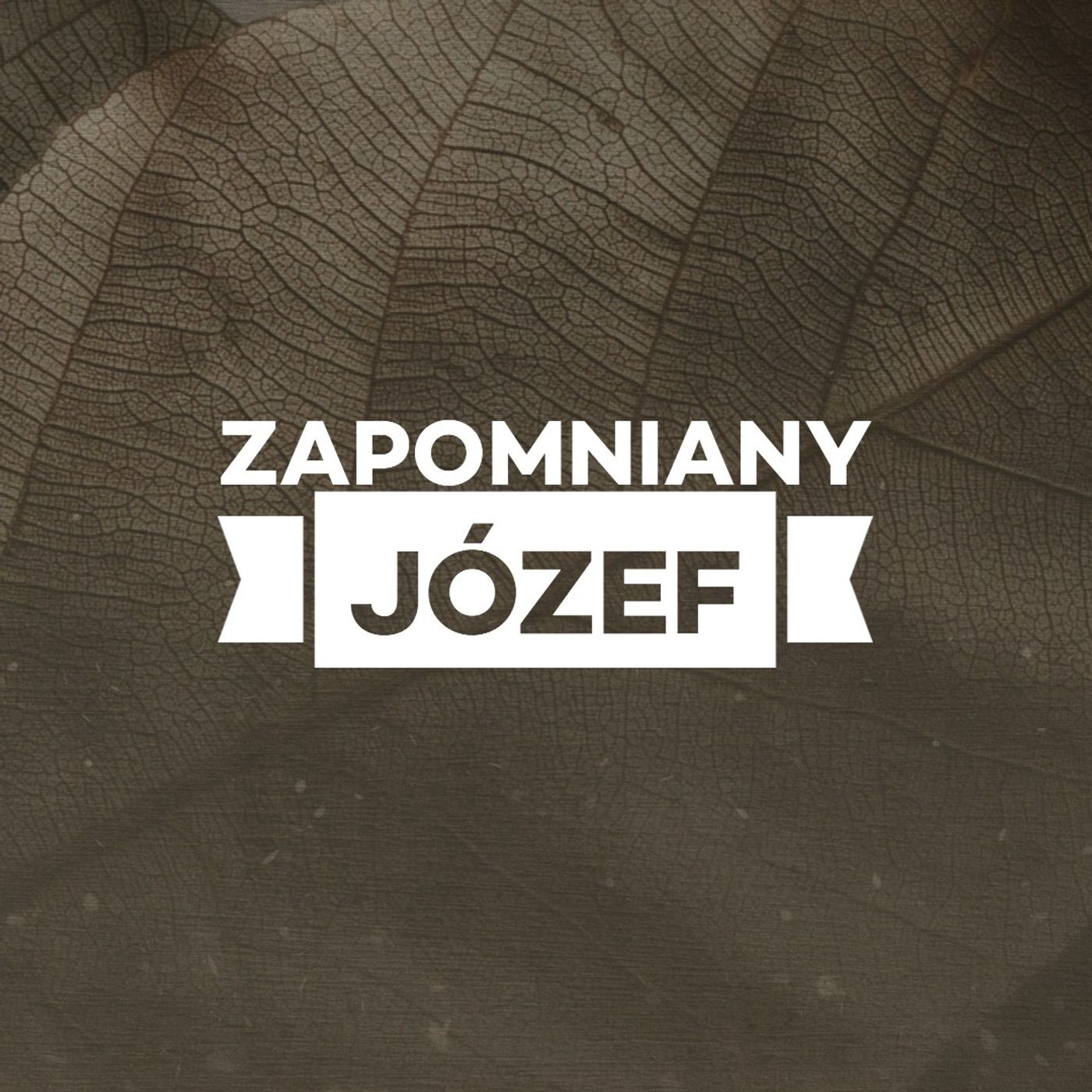 Zapomniany Józef - Leszek Dziadkowiec episode artwork