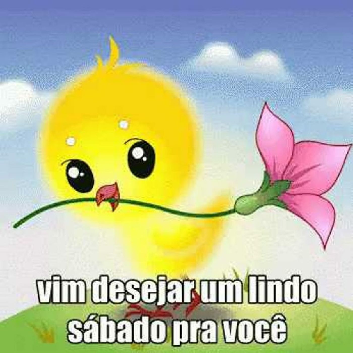 António Paulo\'s show
