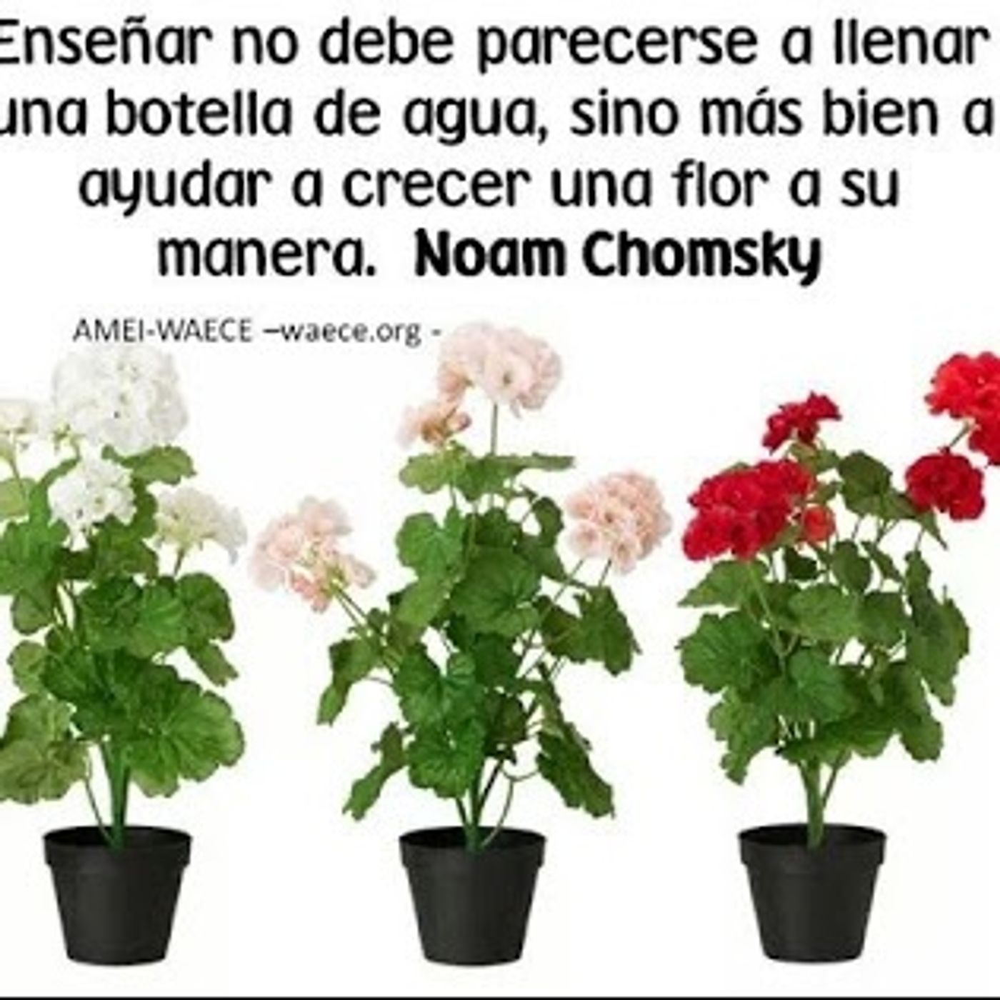 pistas de Alby Jiménez