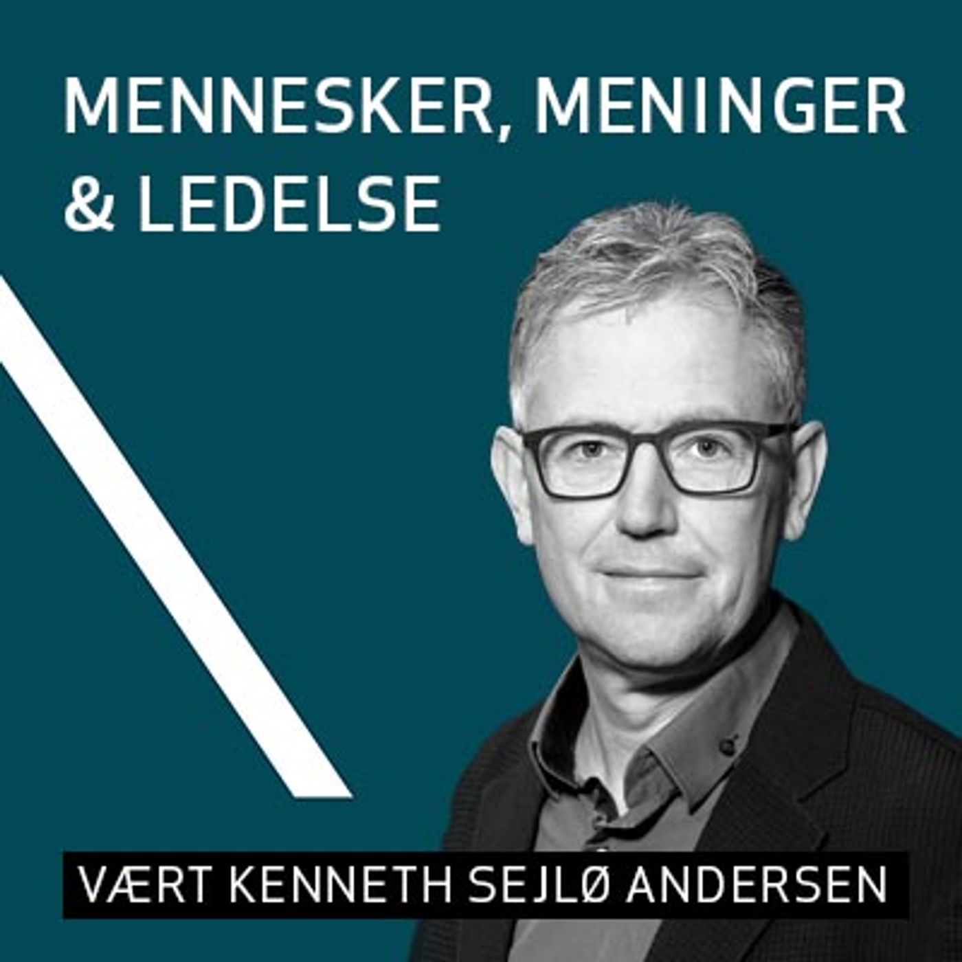 Mennesker, Meninger & Ledelse cover art