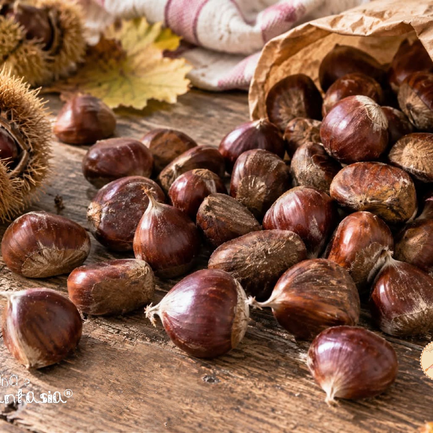 Come conservare le castagne episode artwork