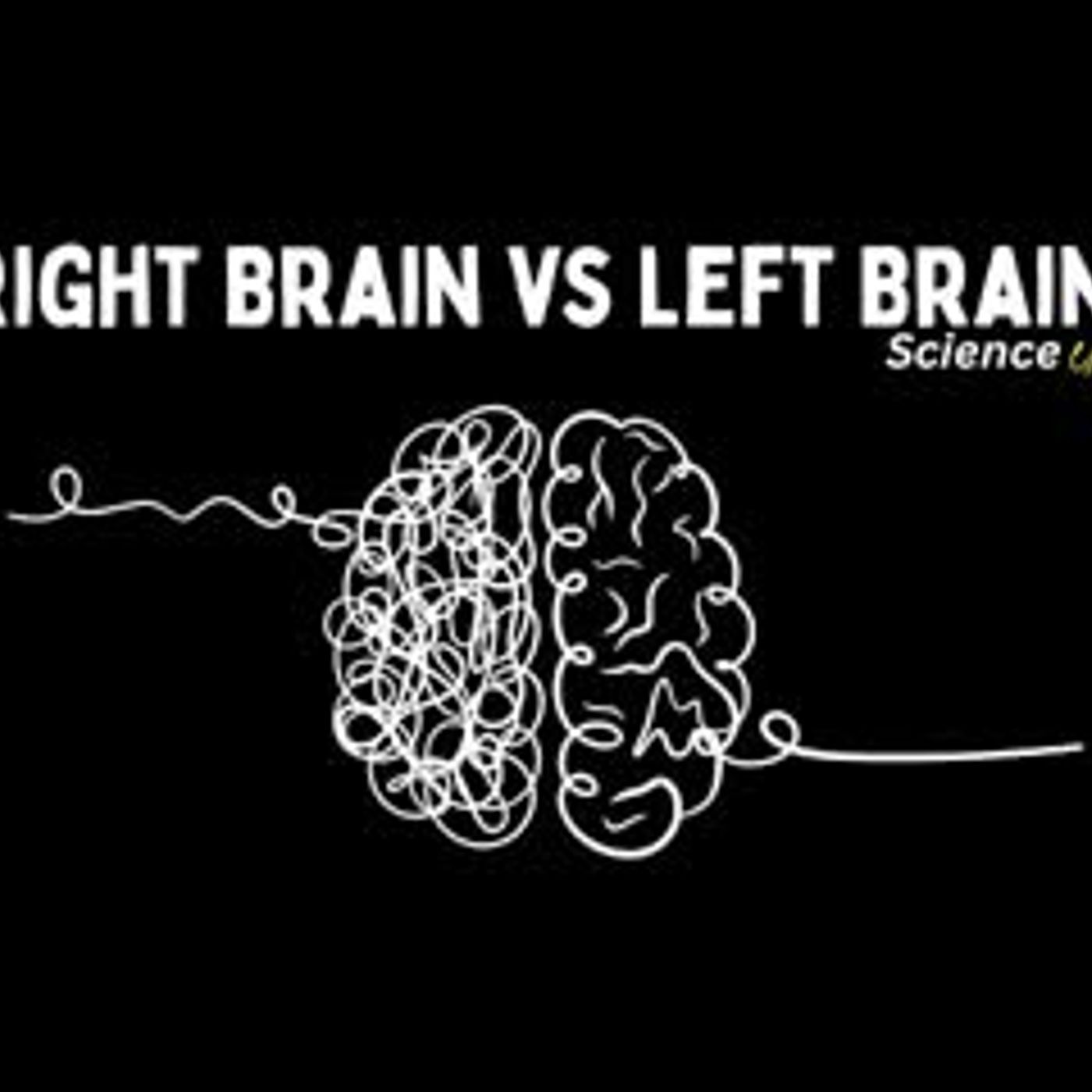 Right Brain vs Left Brain - Science Explained Right Brain vs Left Brain - Science Explained