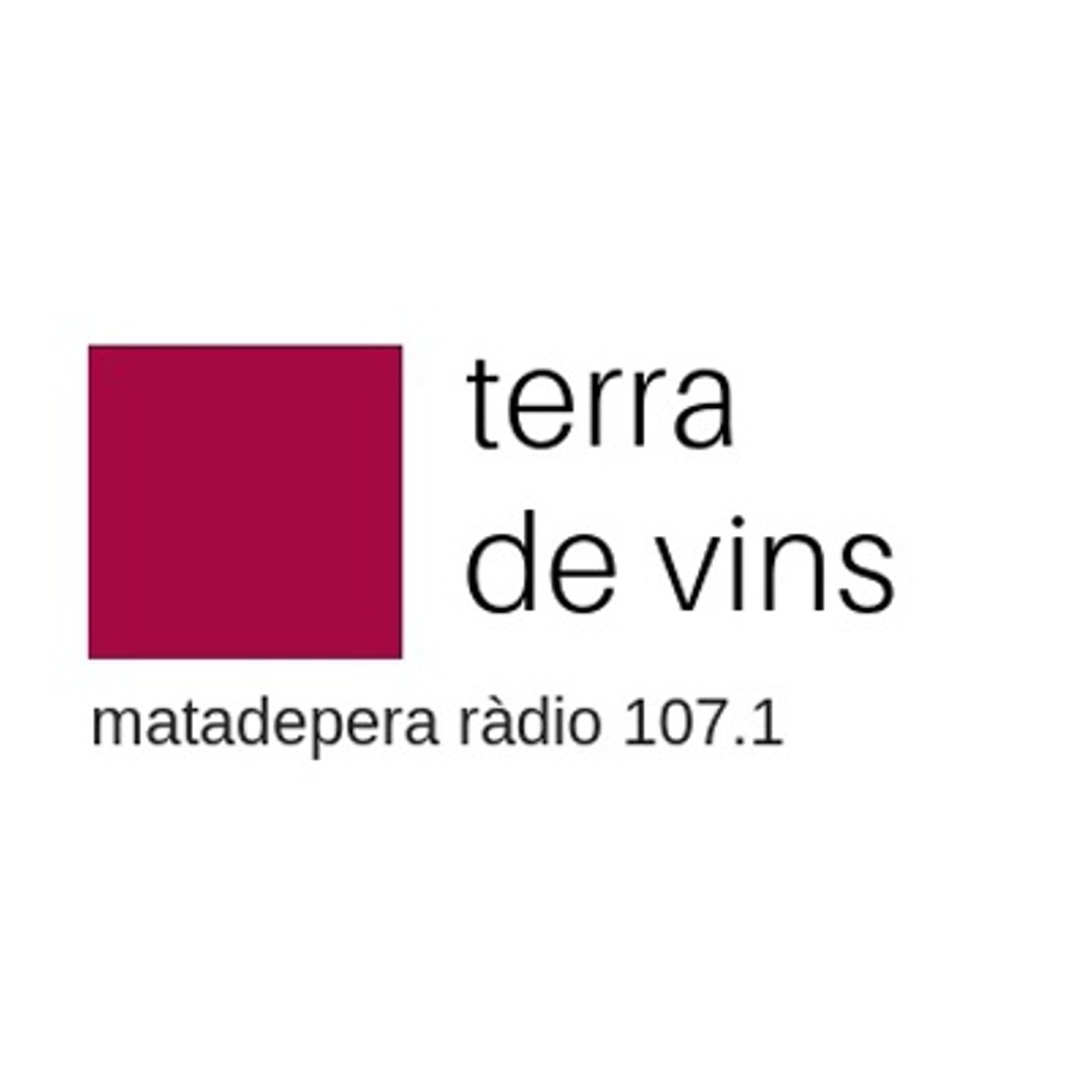 TERRA DE VINS   19-11-2018 20-00