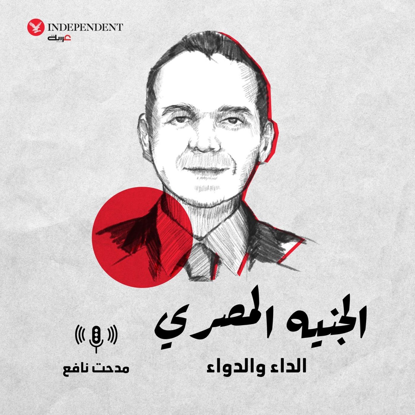 الجنيه المصري الداء والدواء - مدحت نافع episode artwork