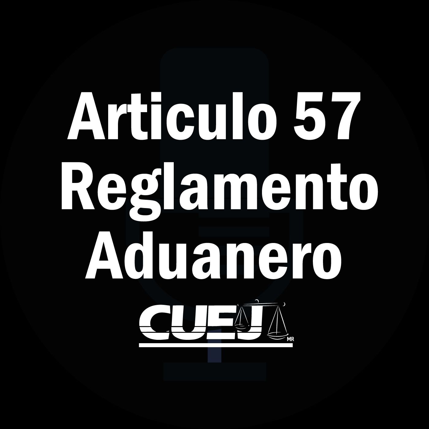 Reglamento de la ley aduanera