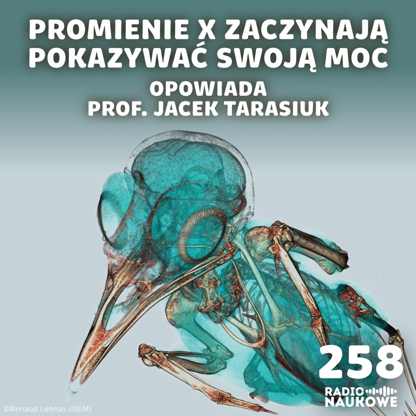 Radio Naukowe