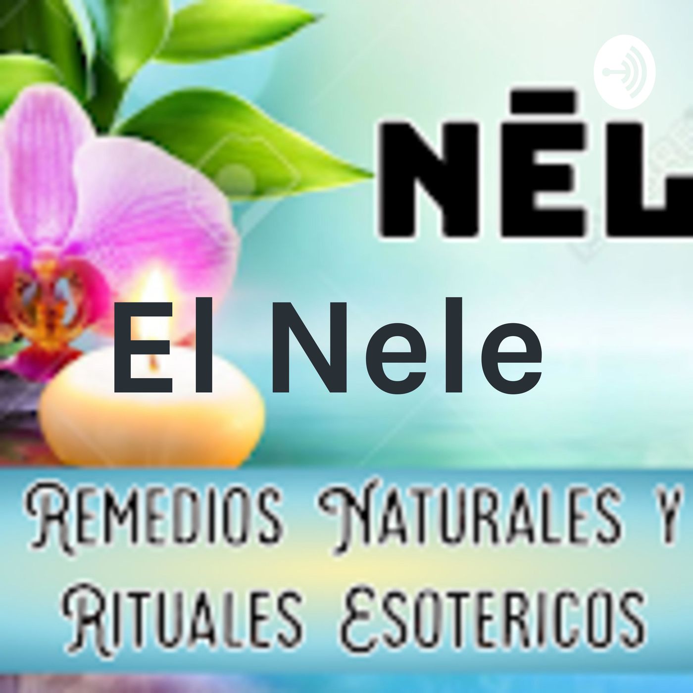La RADIO Del NELE