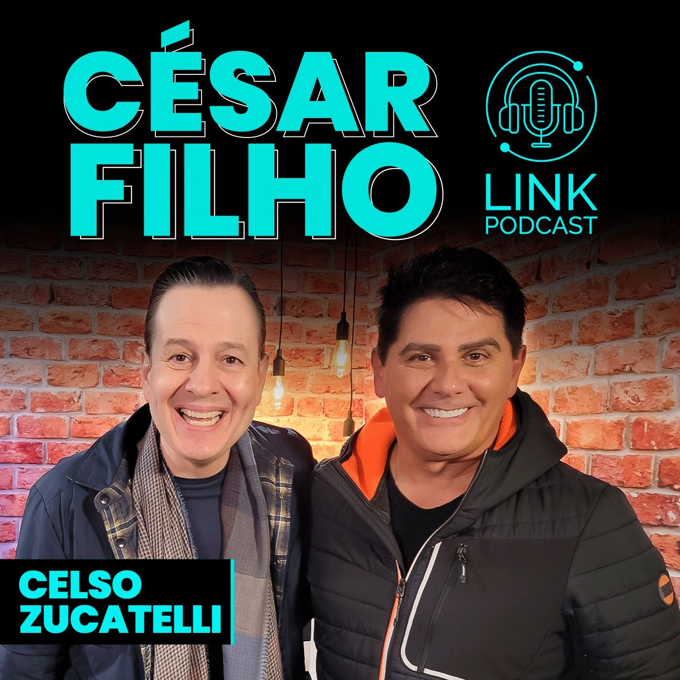 Link Podcast
