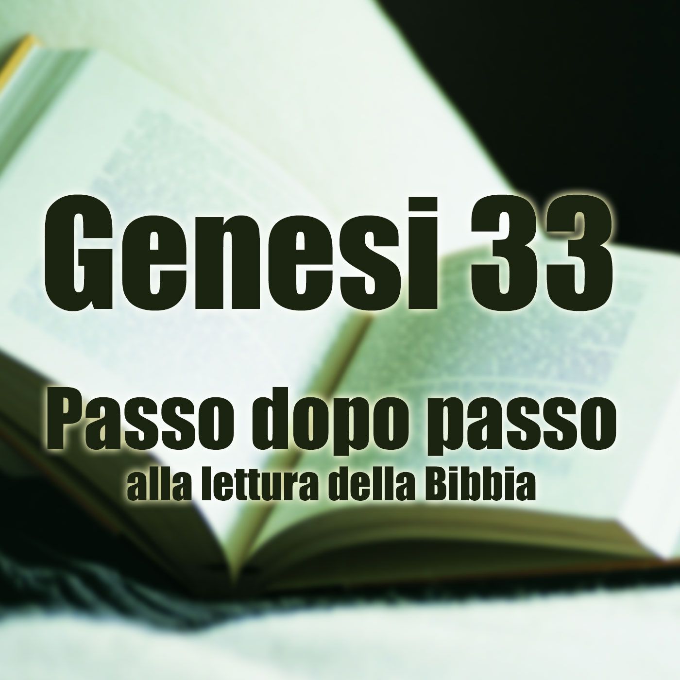 Genesi capitolo 33