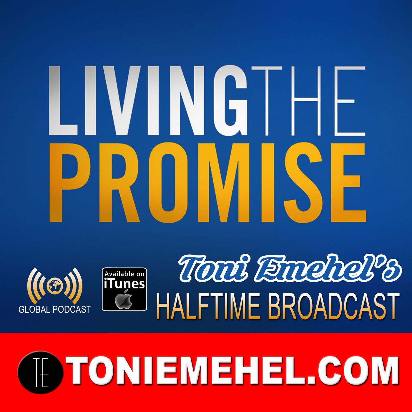 Mosaic Living with Toni Emehel