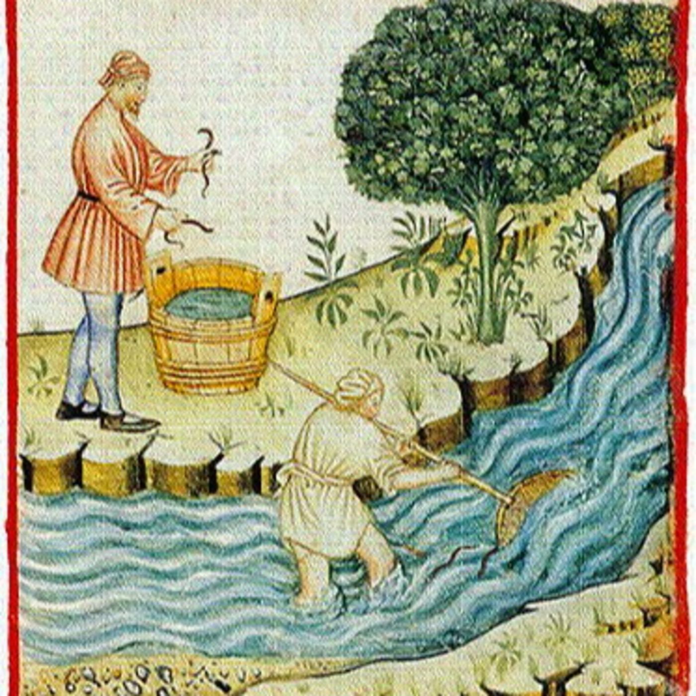 #81: Il Pesce nel Medioevo, un Pesce di Terra episode artwork
