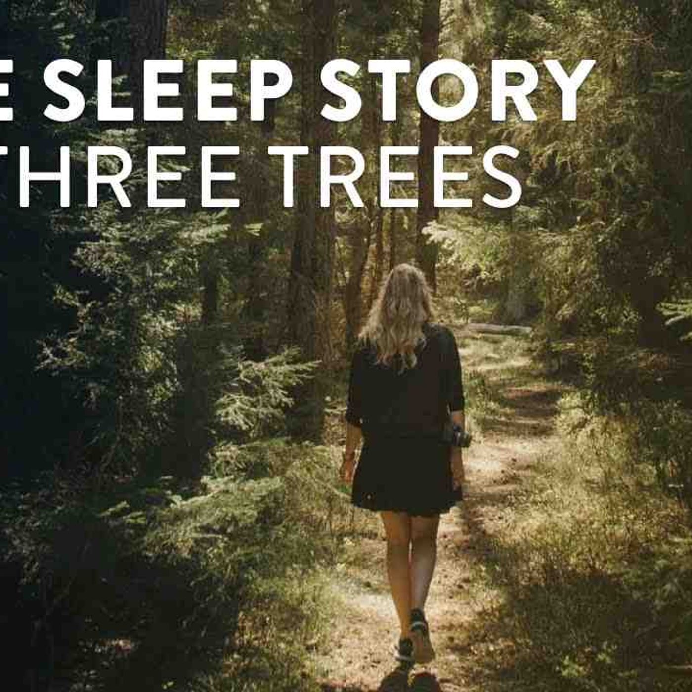 Guided Meditation for Sleep_ The Three Trees Bible Story episode artwork