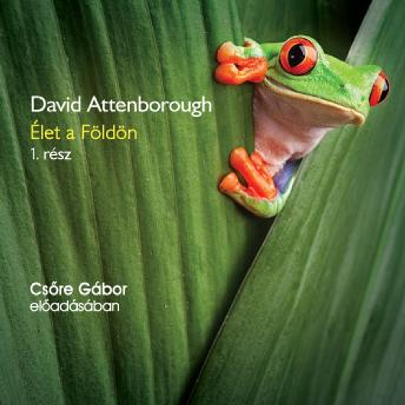 Download High-Quality Full Audiobooks in Fiction, Action & Adventure