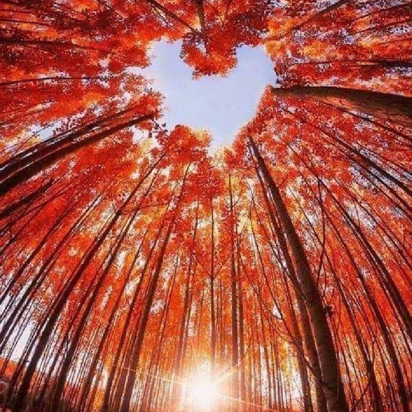 Meditazioni guidate