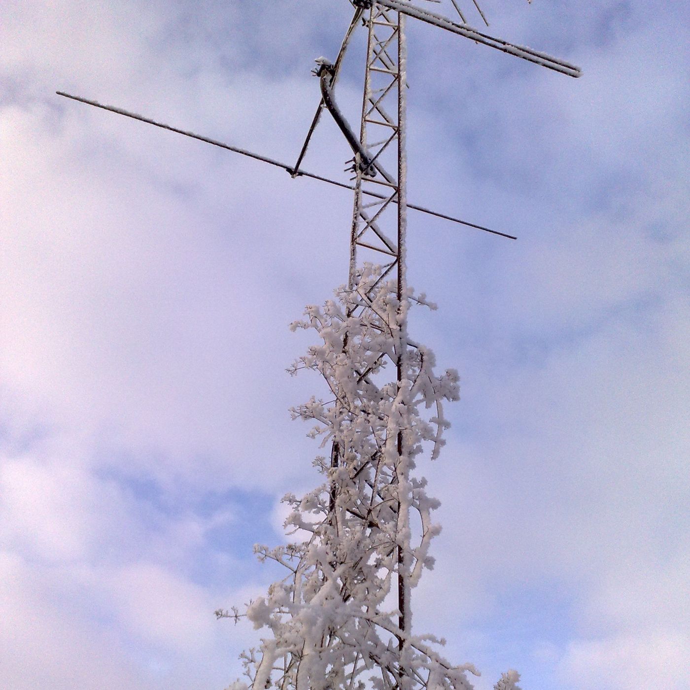 Dansk fra udlandet af Radio Amigo