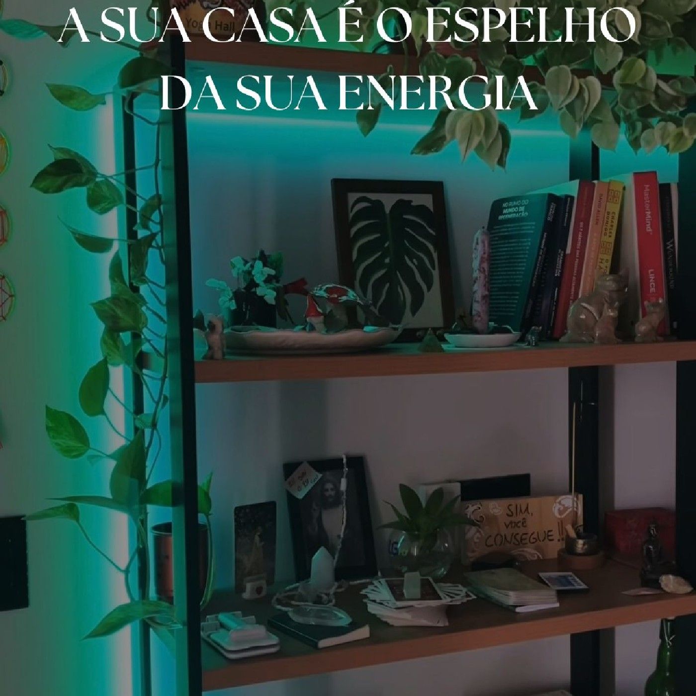 Novo