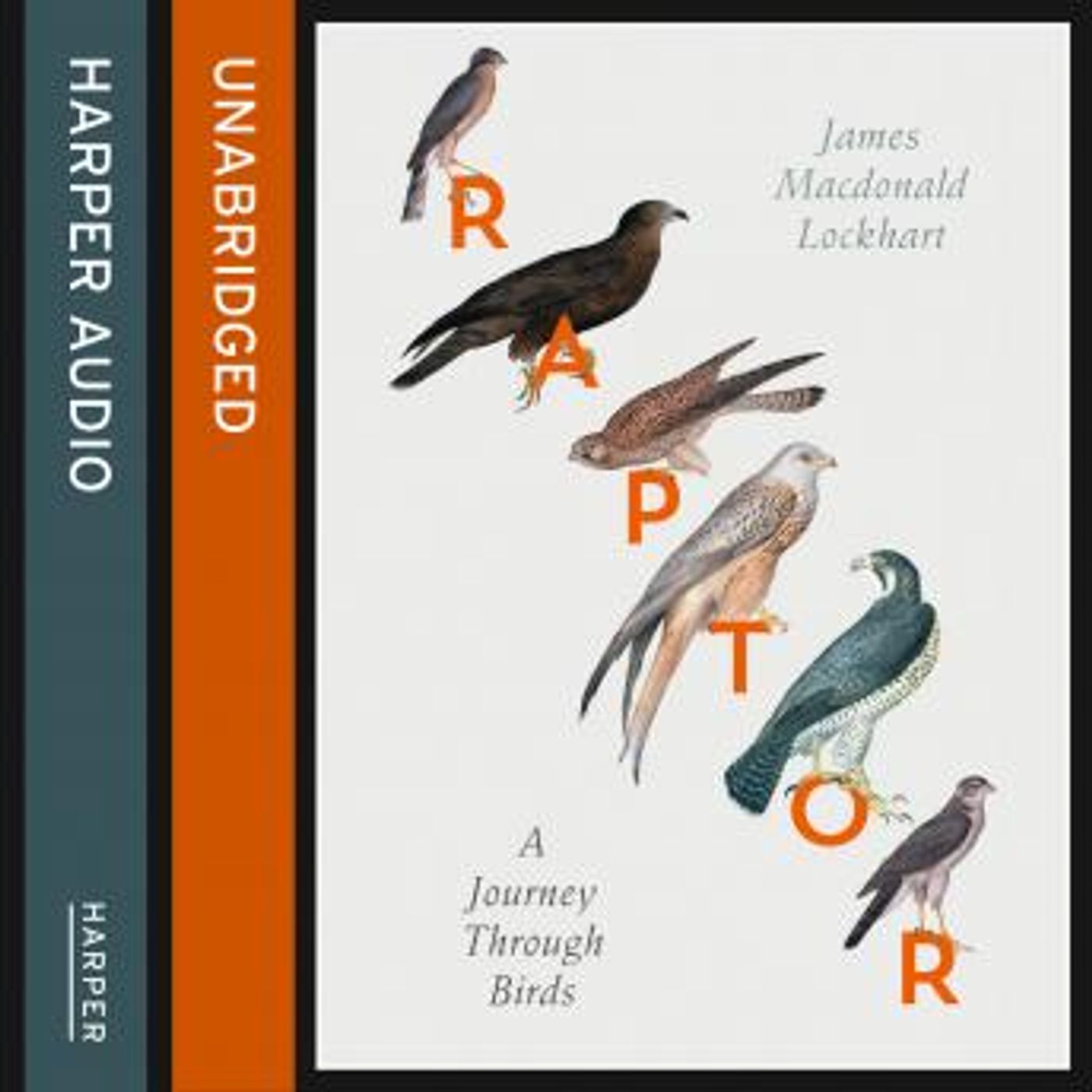 Explore the Latest Full Audiobooks in Non-Fiction, Animals & Nature