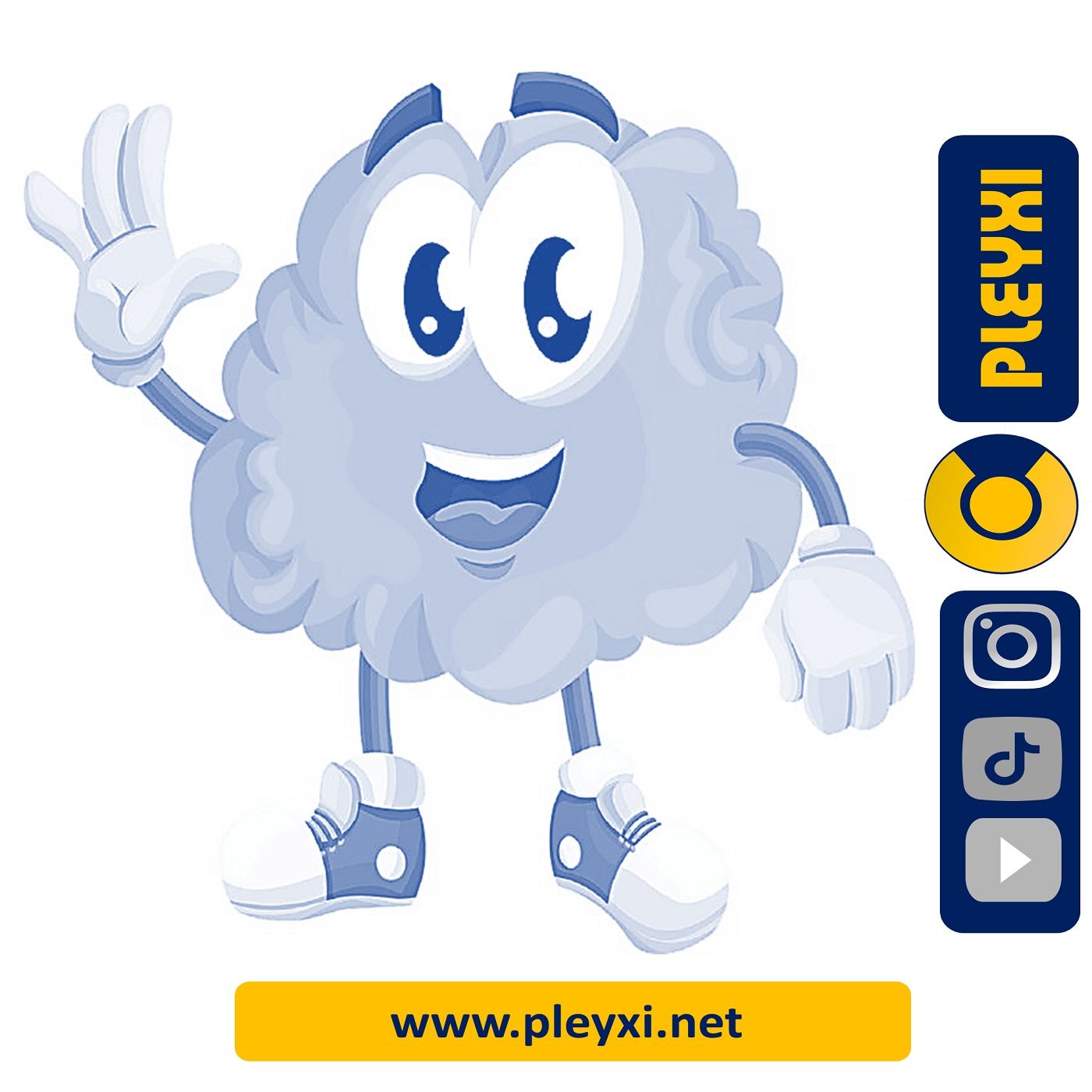 EMPRENDIMIENTO Y MARKETING DIGITAL- PLEYXI