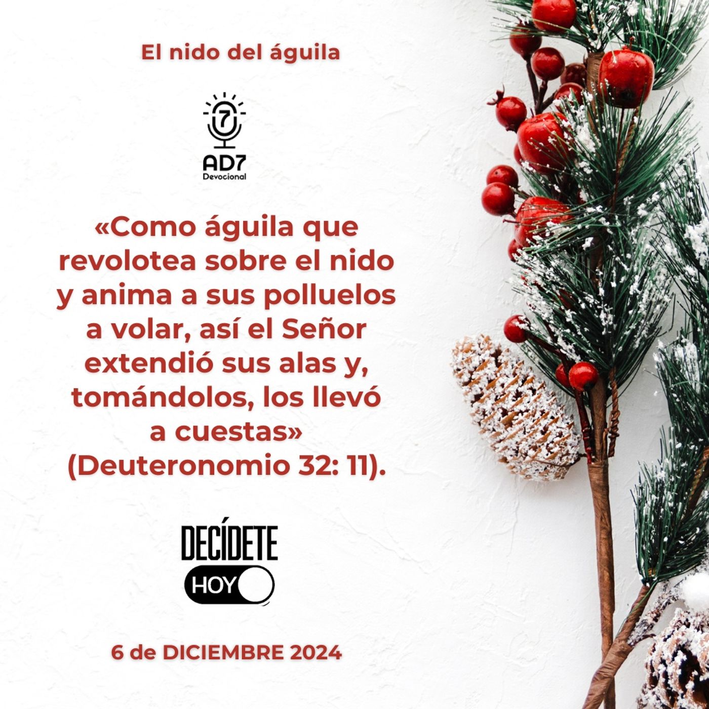 El nido del águila | Devocional de Jóvenes | 6 de diciembre 2024