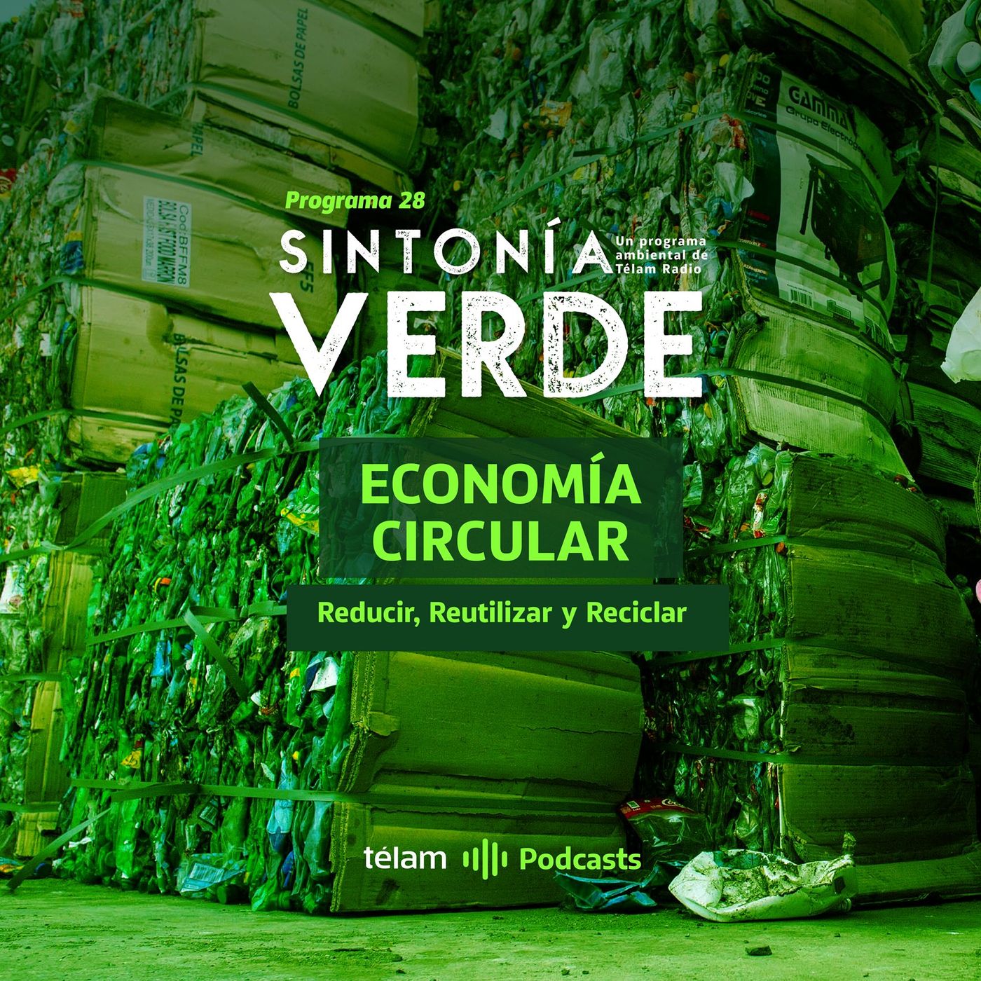 cover of episode Argentina avanza en el desarrollo de la Economía Circular