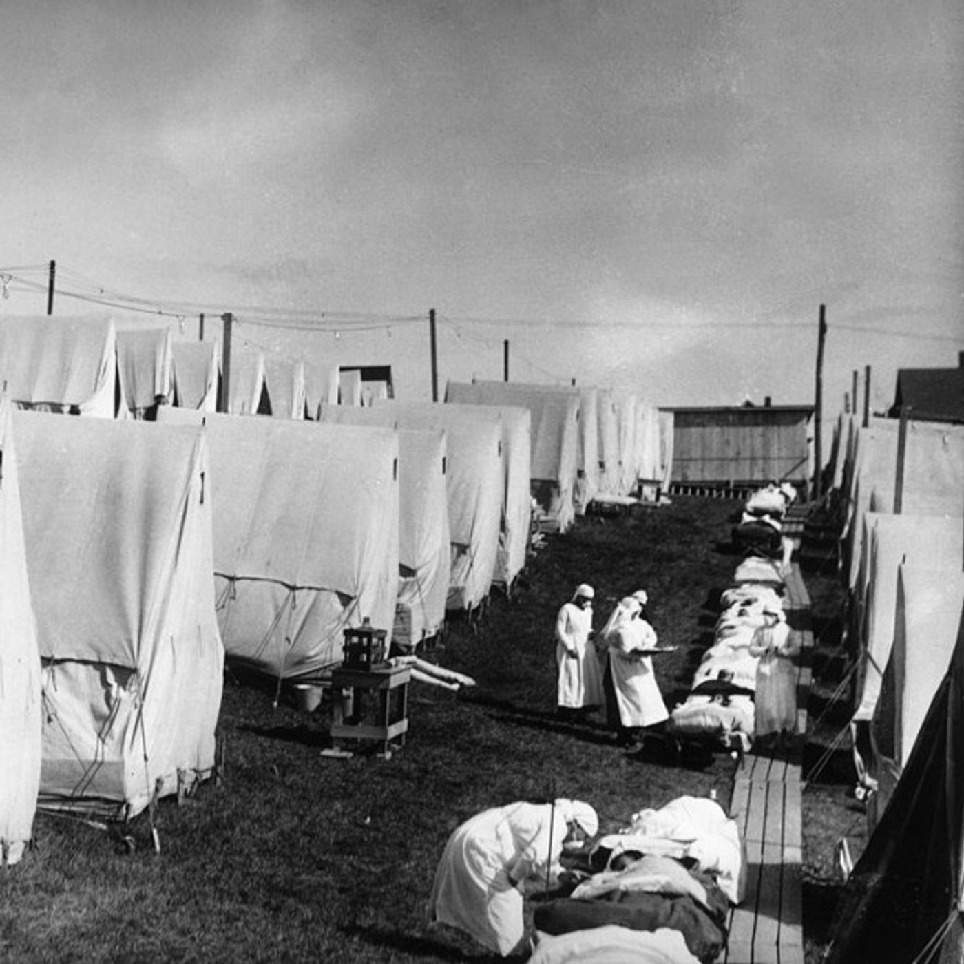 Influenza spagnola: storia, caratteristiche, sintomi e come sparì episode artwork