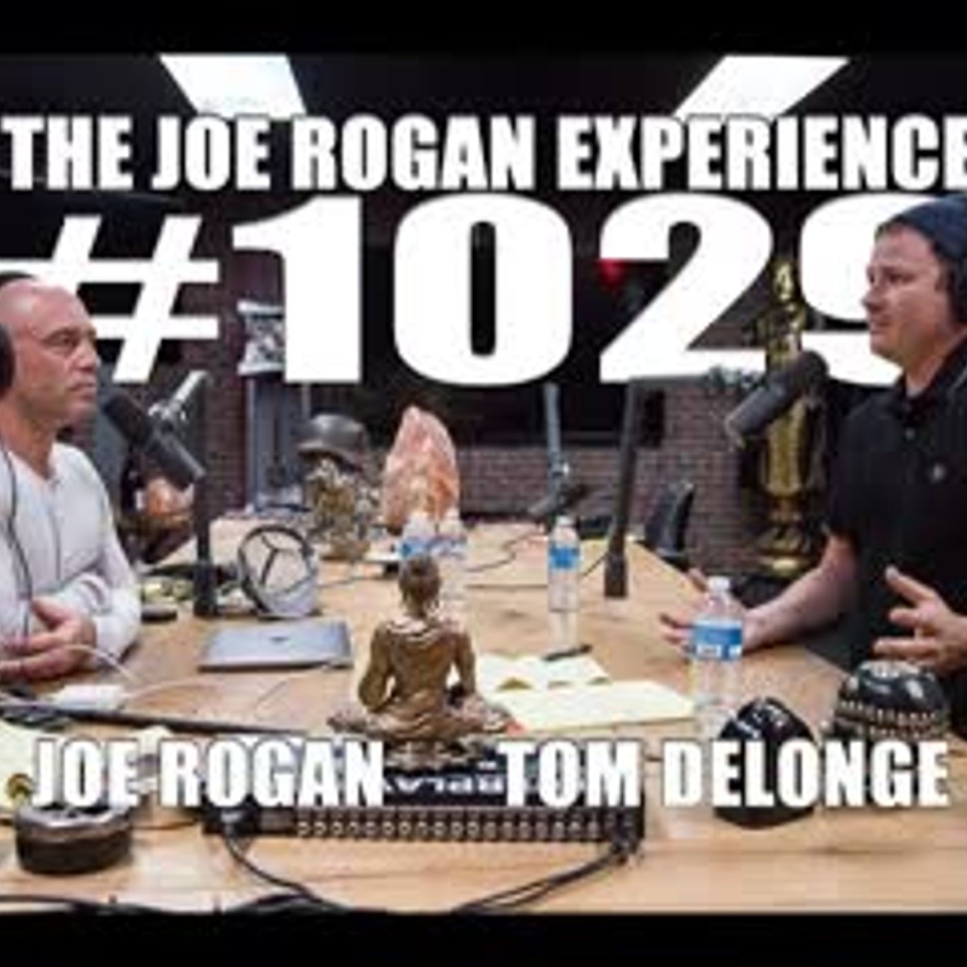 Joe Rogan and Tom DeLonge-What Could of Been...To The Stars.