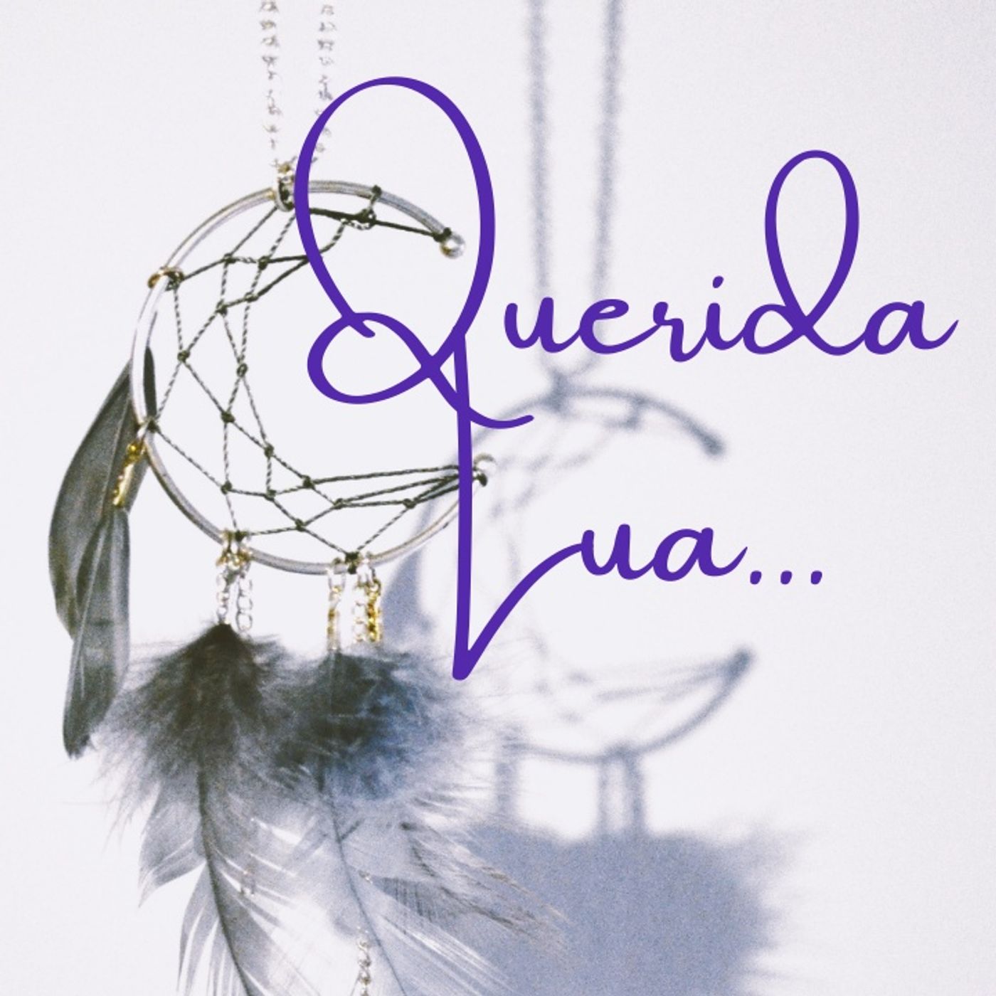 Querido Diario...