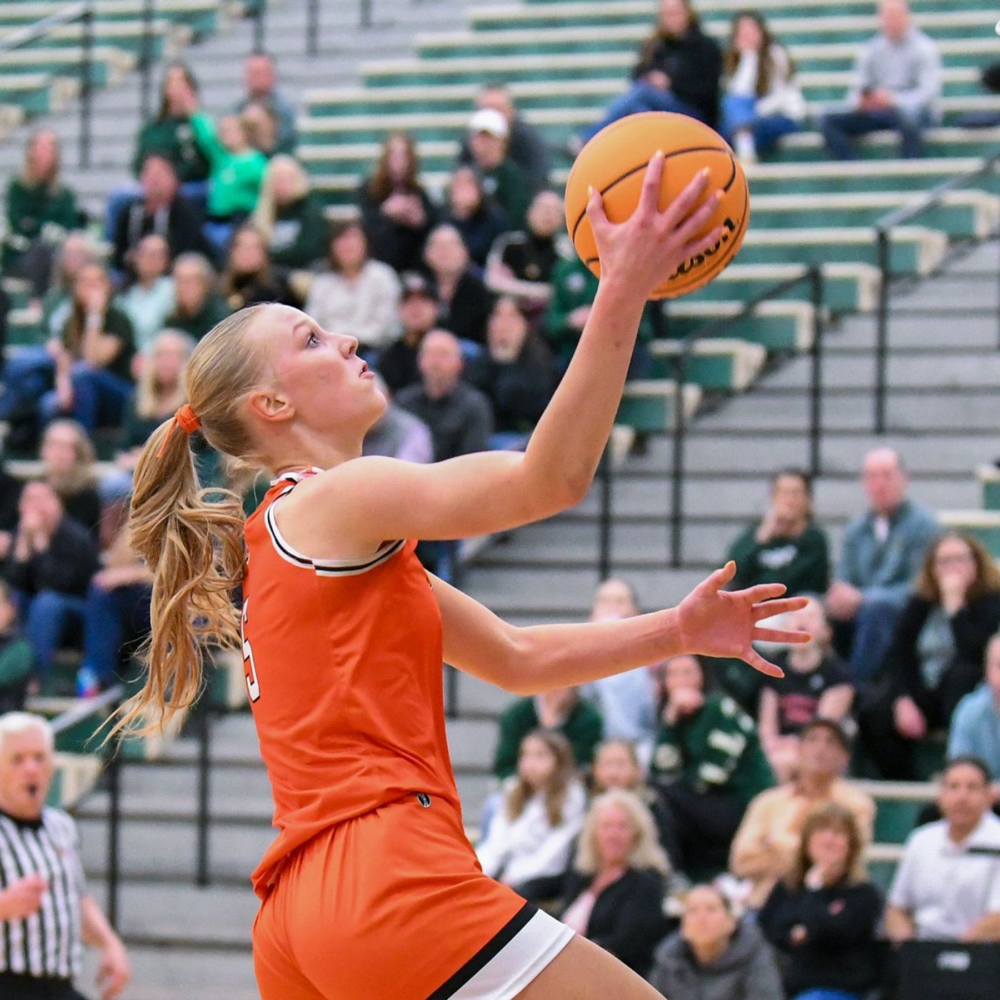 Kane County Chronicle Girls Basketball Athlete of the Year: St. Charles East’s Brooklyn Schilb episode artwork
