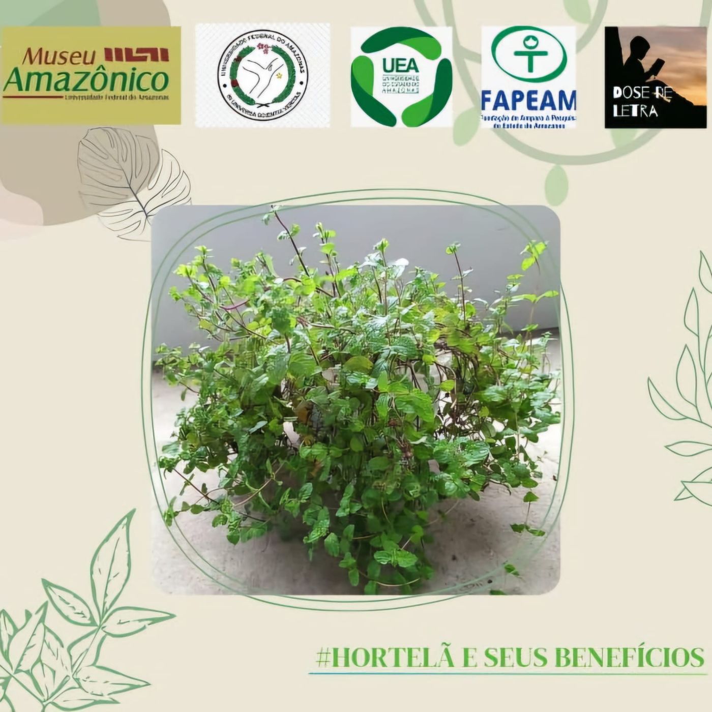 Projeto Dose de Letra