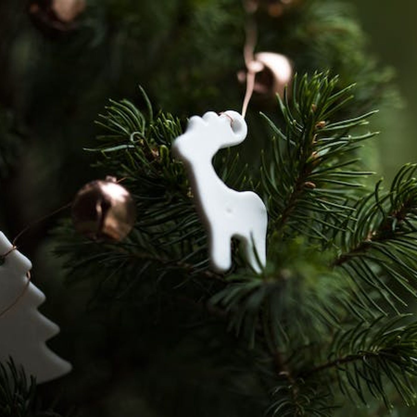 Should I Use Christmas Dinner for Evangelism?