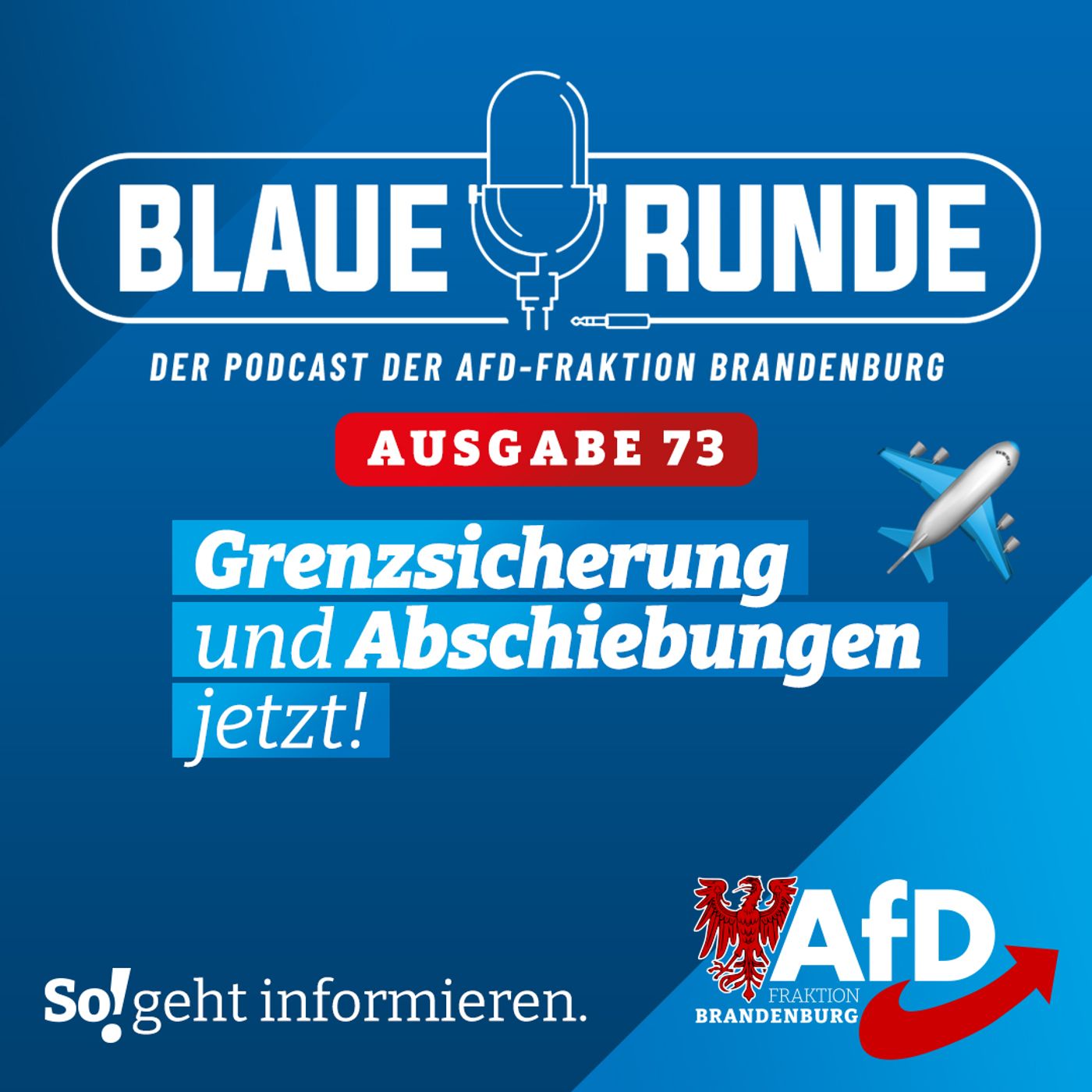Grenzsicherung und Abschiebungen jetzt! | Die BLAUE RUNDE, Ausgabe 73/23 vom 13.09.2023 episode artwork