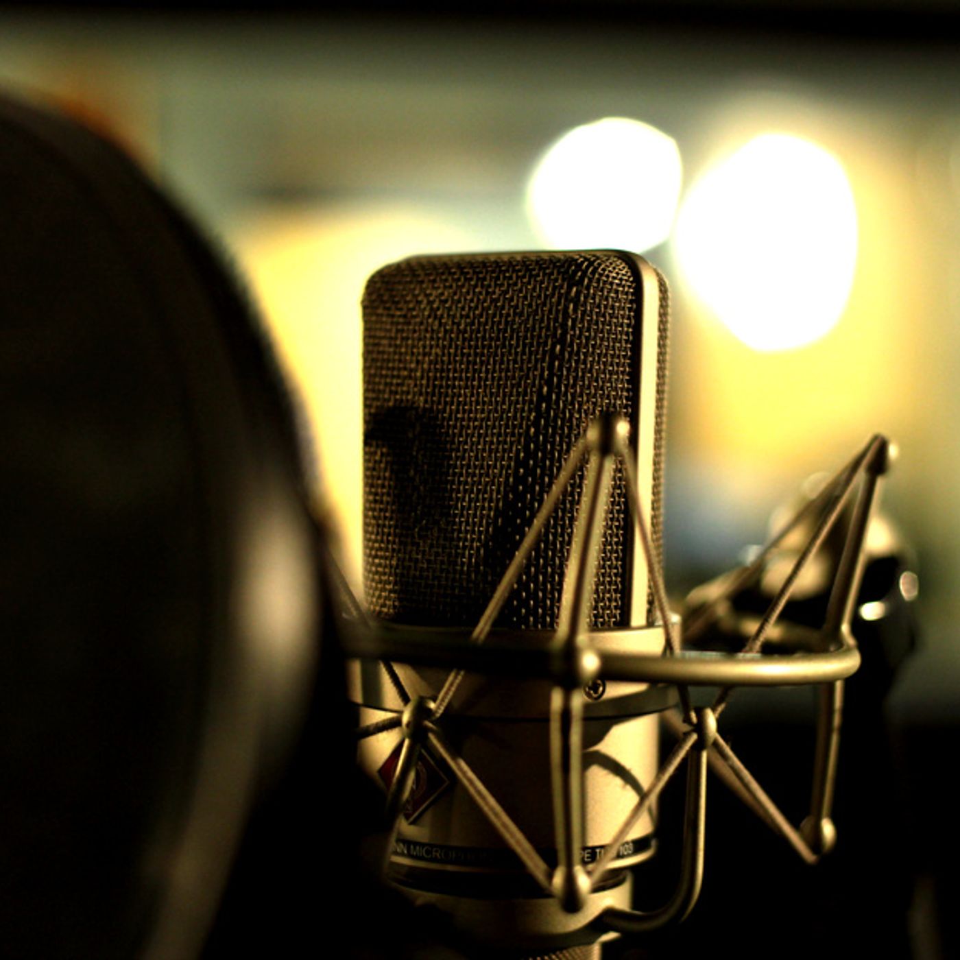 Voiceover Sermons with Terry Daniel