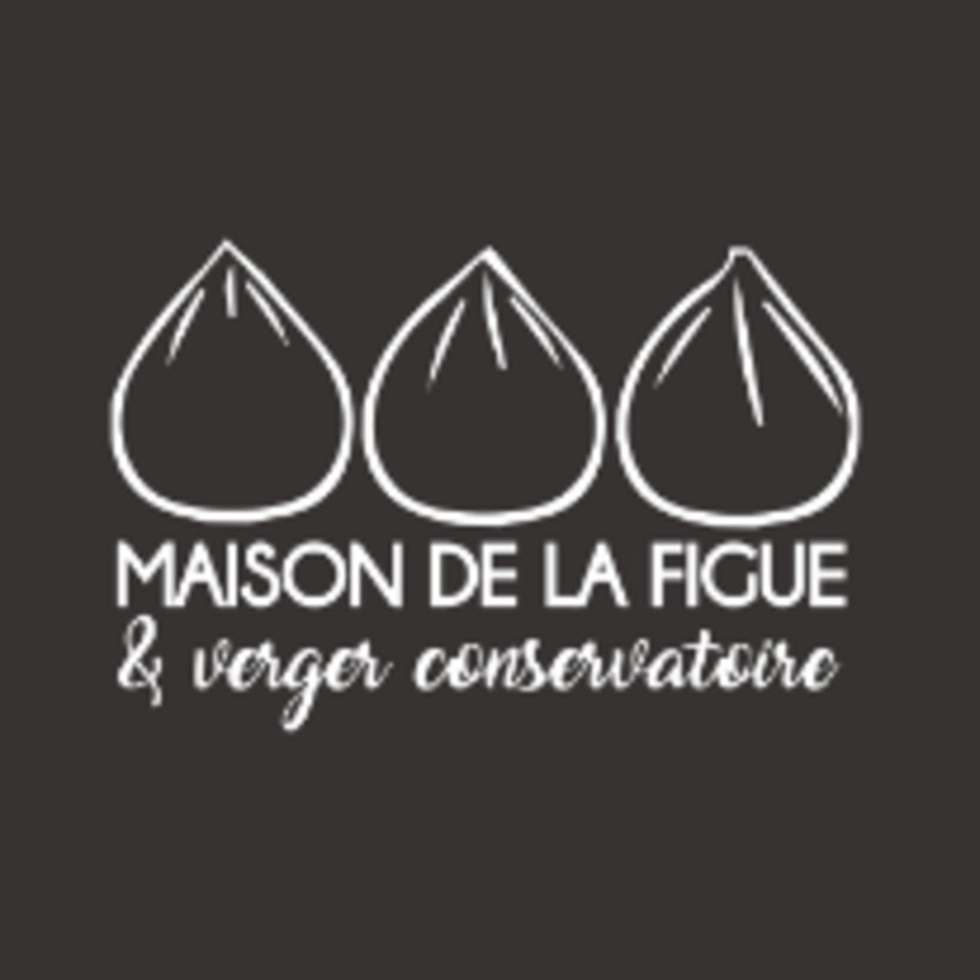 Informations locales : Animations de l'été à la Maison de la Figue et au Préhistorama