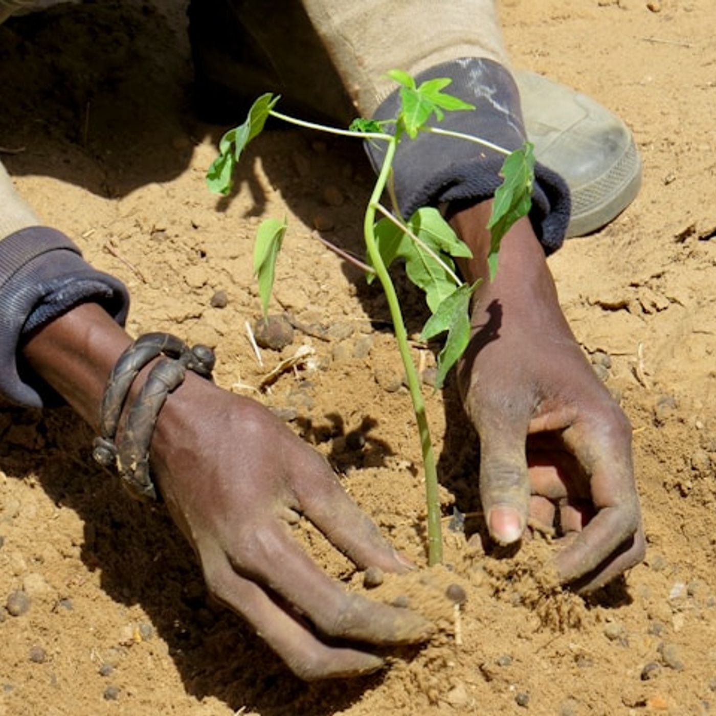 28 novembre 2025 - Notiziario Africa