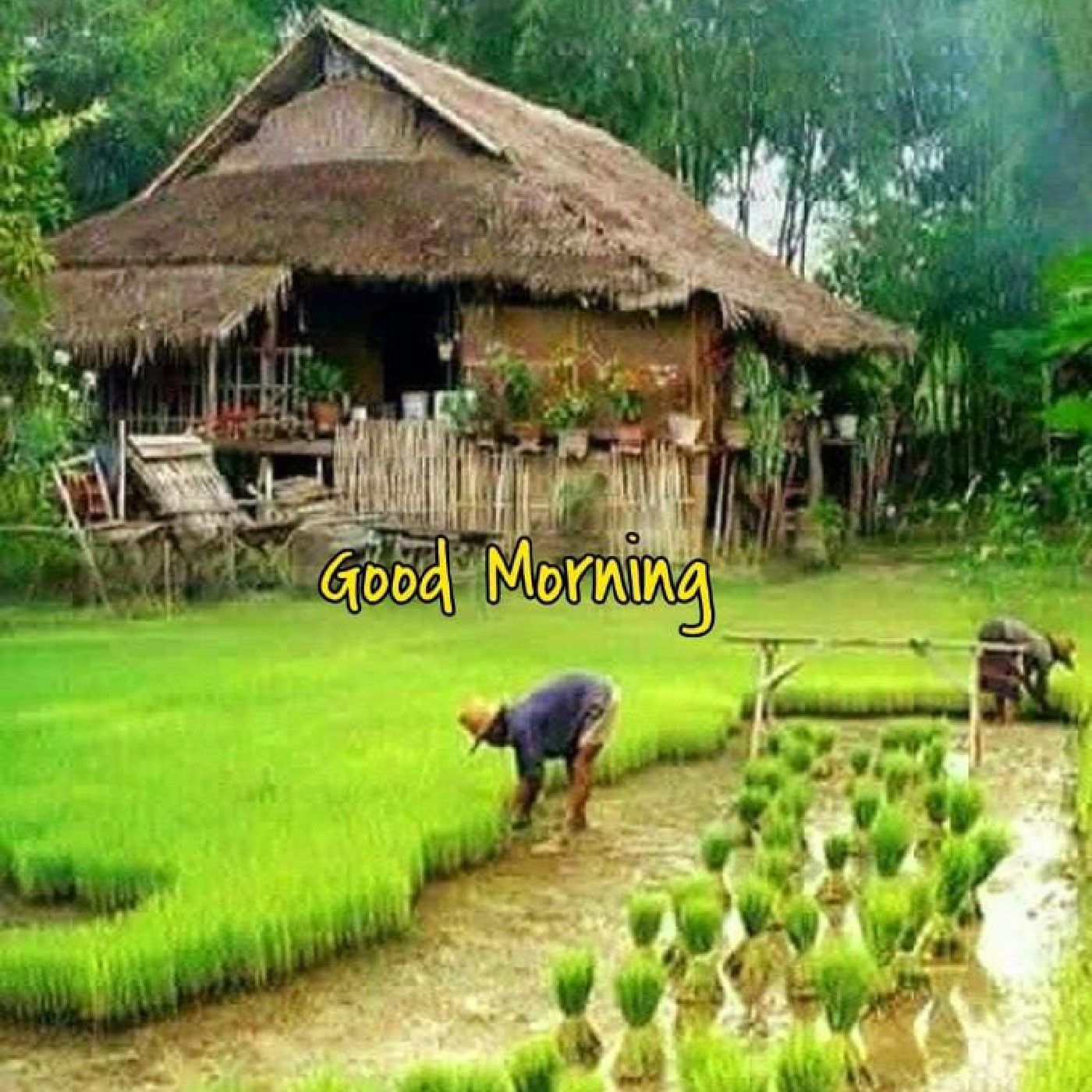 Islamic Forum Podcast