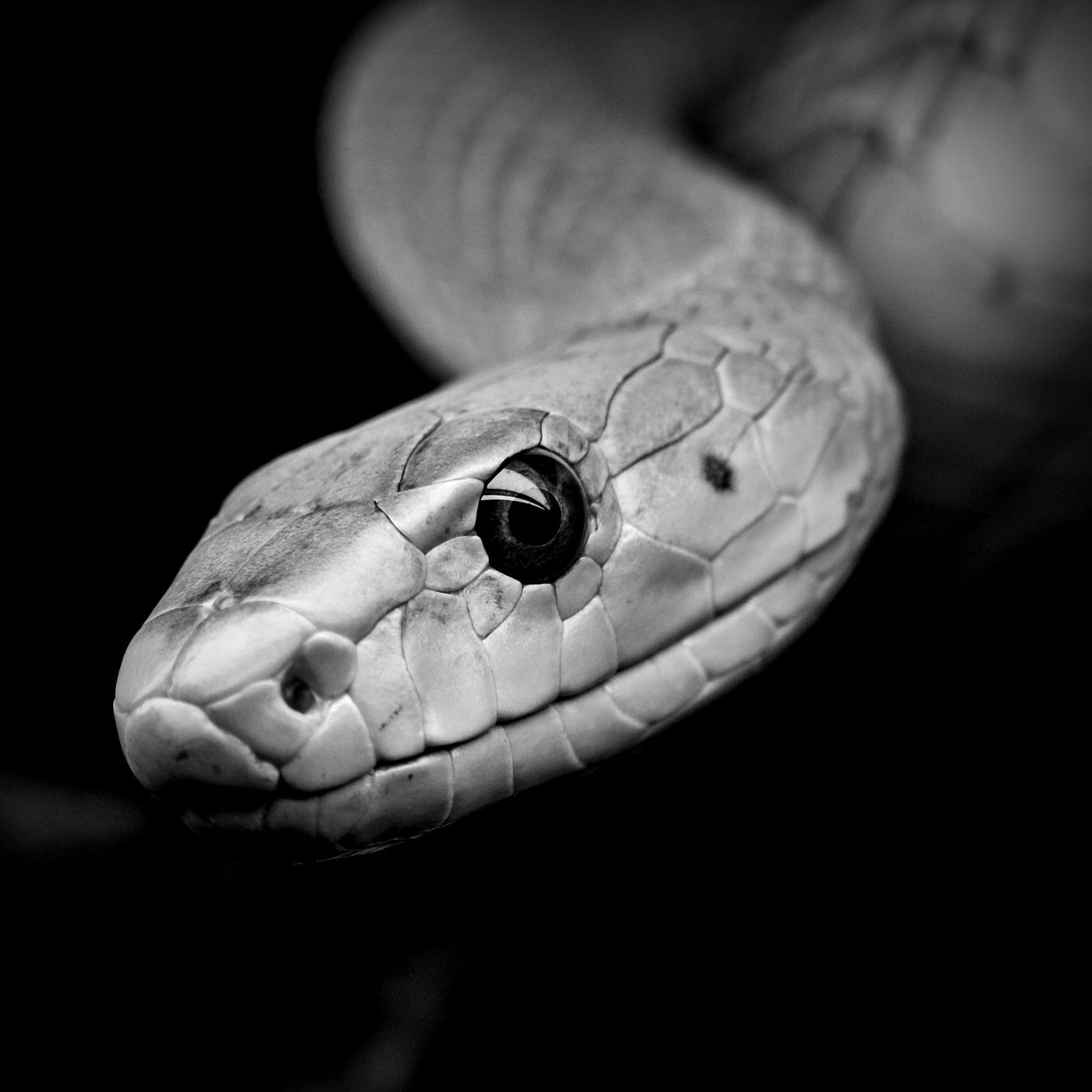 El Paso de La Culebra