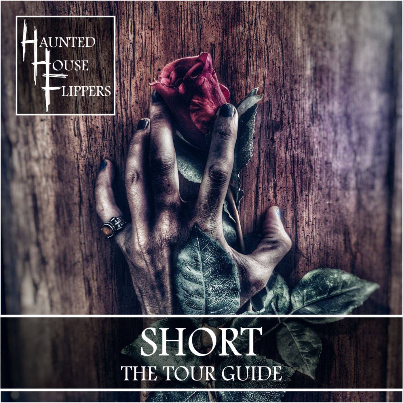 HHF Short: The Tourguide artwork