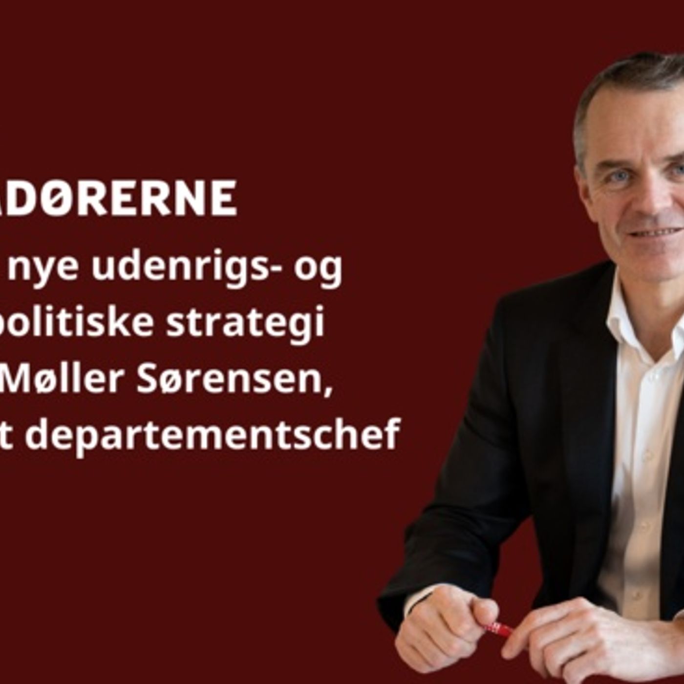 Ambassadørerne